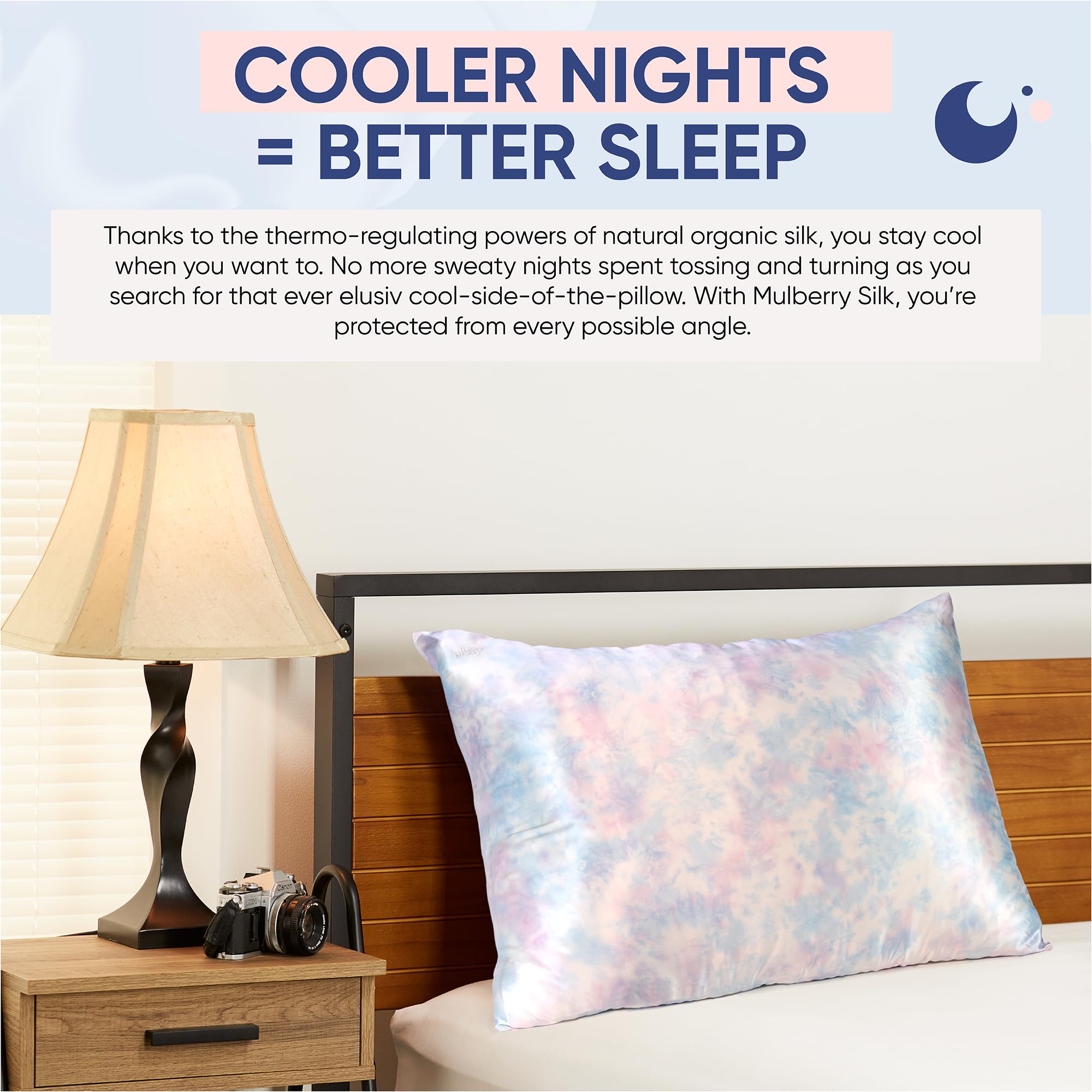 Blissy Silk Pillowcase - 100% Pure Mulberry Silk - 22 Momme 6A High-Grade Fibers - Silk Pillow Cover for Hair & Skin - Regular, Queen & King with Hidden Zipper (Queen, Champagne)