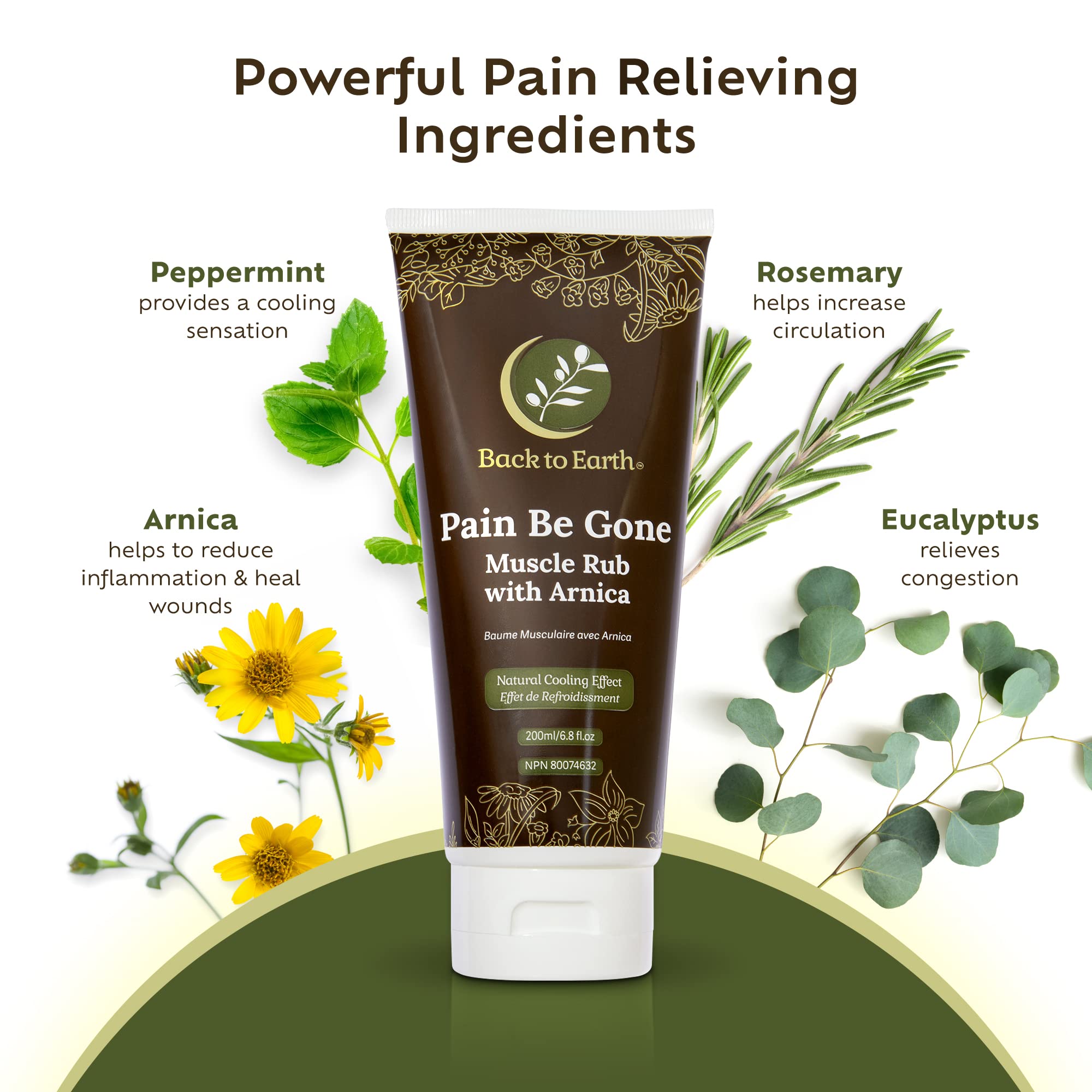 Natural Arnica Gel Muscle Relaxer | Back To Earth’s Pain Be Gone | Unscented Muscle Rub for Pain Relief | Sore Muscle Massage | Provides Shoulder Pain Relief, Neck Pain Relief, Back Pain Relief | 200 mL