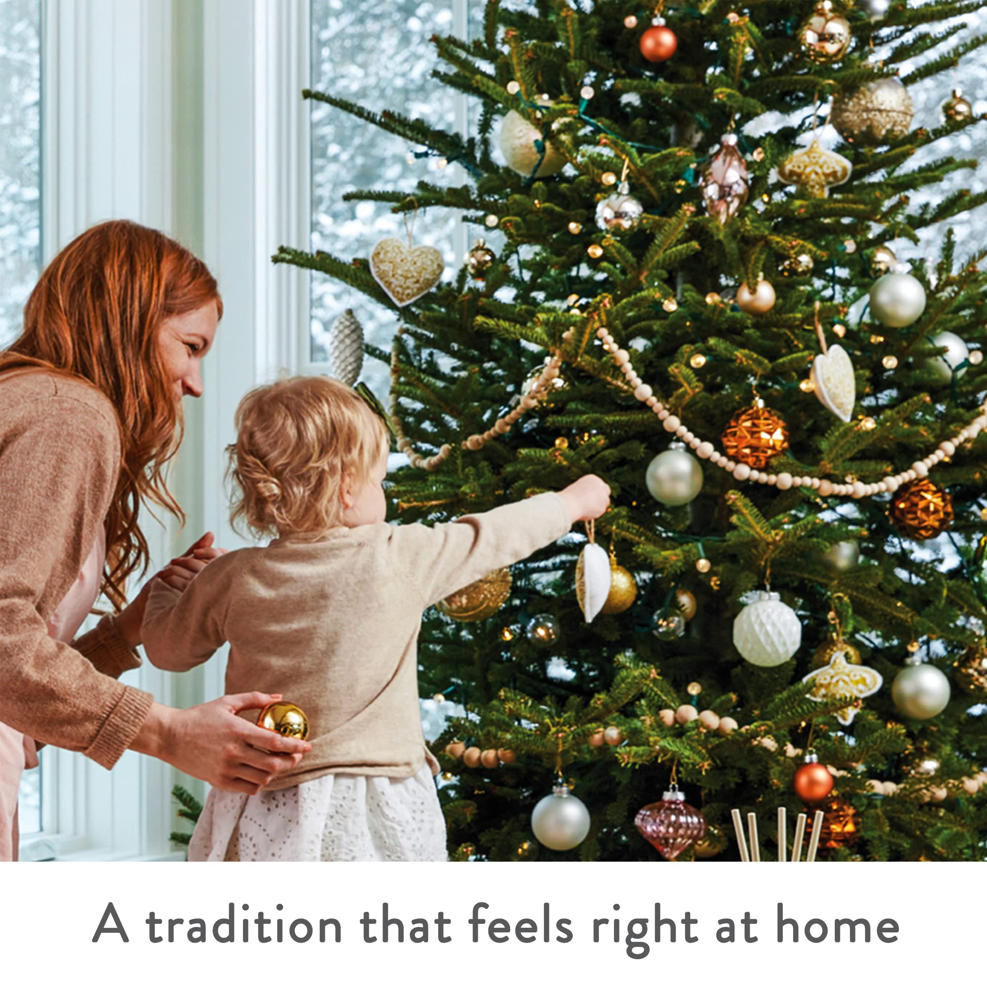 Thymes Frasier Fir Statement 3-Wick Candle - Scented Candle with Crisp Notes of Siberian Fir Needles, Cedarwood, and Relaxing Sandalwood - Luxury Home Fragrance - Silver Candle (12.5 oz)
