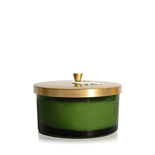 Thymes Frasier Fir Scented Candle - Heritage Large 3 Wick Candle for Home Decor - Holiday Candle - Green Candles for Home Scented with Notes of Siberian Fir Needles, Cedarwood &amp; Sandalwood (17 oz)