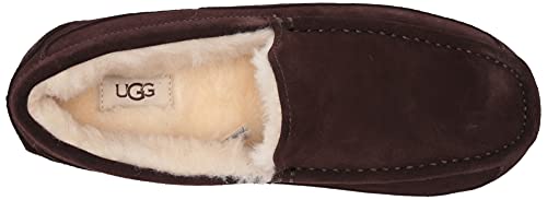 UGG Men&