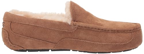 UGG Men&