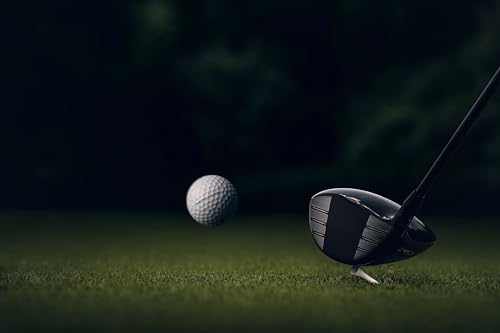 Titleist Pro V1x Golf Balls (One Dozen)