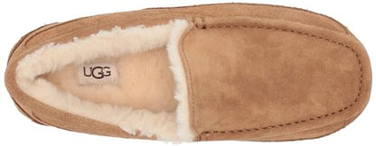 UGG Men&