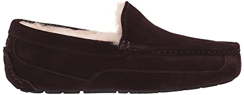 UGG Men&