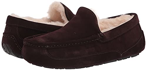 UGG Men&