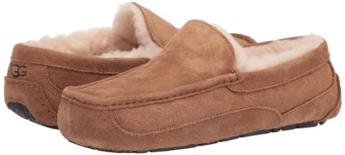 UGG Men&