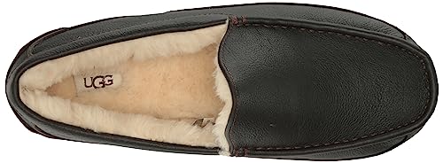 UGG Men&