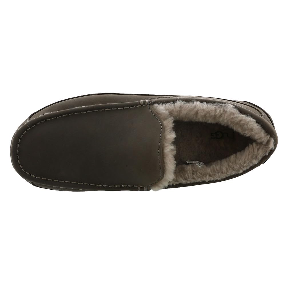 UGG Men&