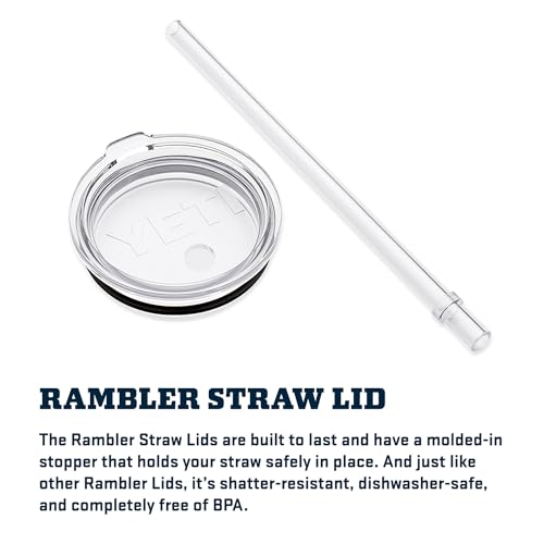 YETI Rambler Tumbler with Handle and Straw Lid, Vacuum Insulated Travel Mug, Stainless Steel
