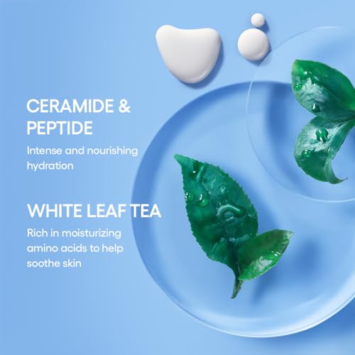 LANEIGE Icons To Go &amp; Besties Set: Water Bank Cream, Cream Skin, Water Sleeping Mask, Lip Sleeping Mask, Hyaluronic Acid, Squalane, Coconut Oil, Vitamin C, Travel Friendly