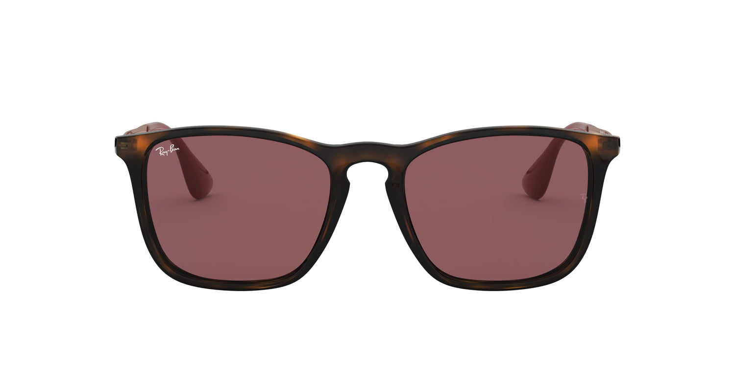 Ray-Ban RB4187 Chris Square Sunglasses