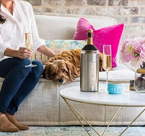 Vinglacé Wine Bottle Chiller- Portable Champagne Insulator- Stainless Steel Wine Cooler Sleeve, White
