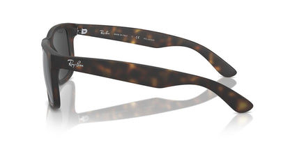 Ray-Ban RB4165 Justin Rectangular Sunglasses