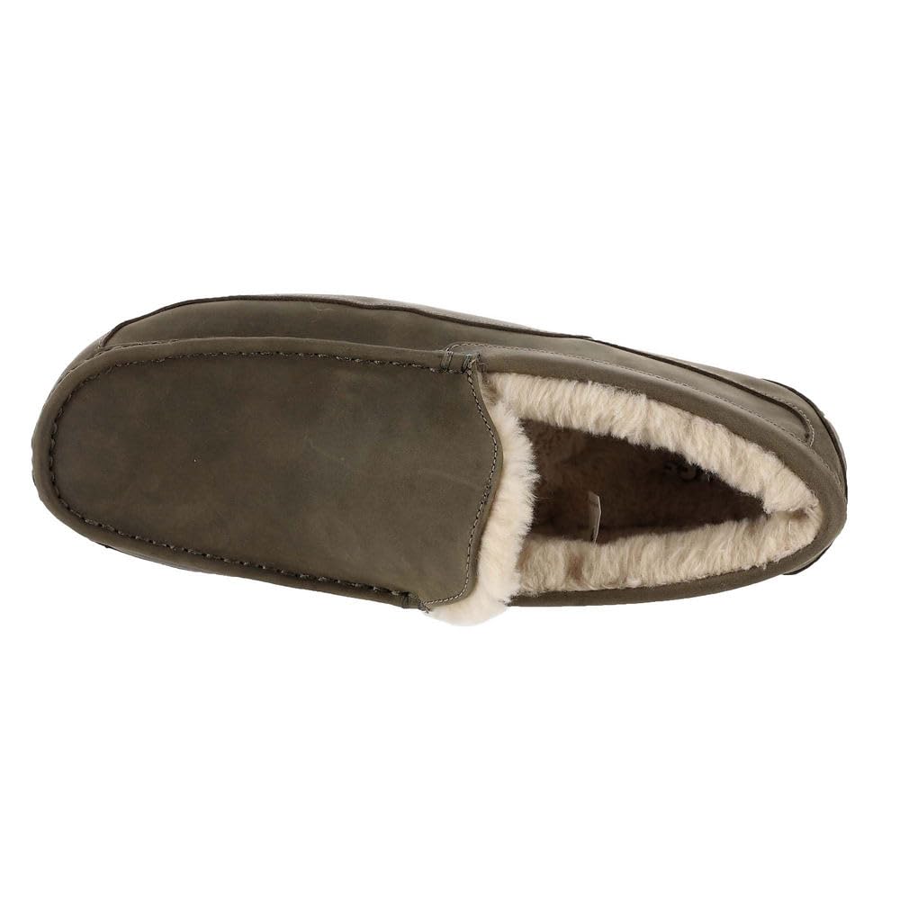 UGG Men&