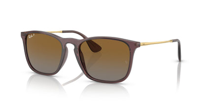 Ray-Ban RB4187 Chris Square Sunglasses