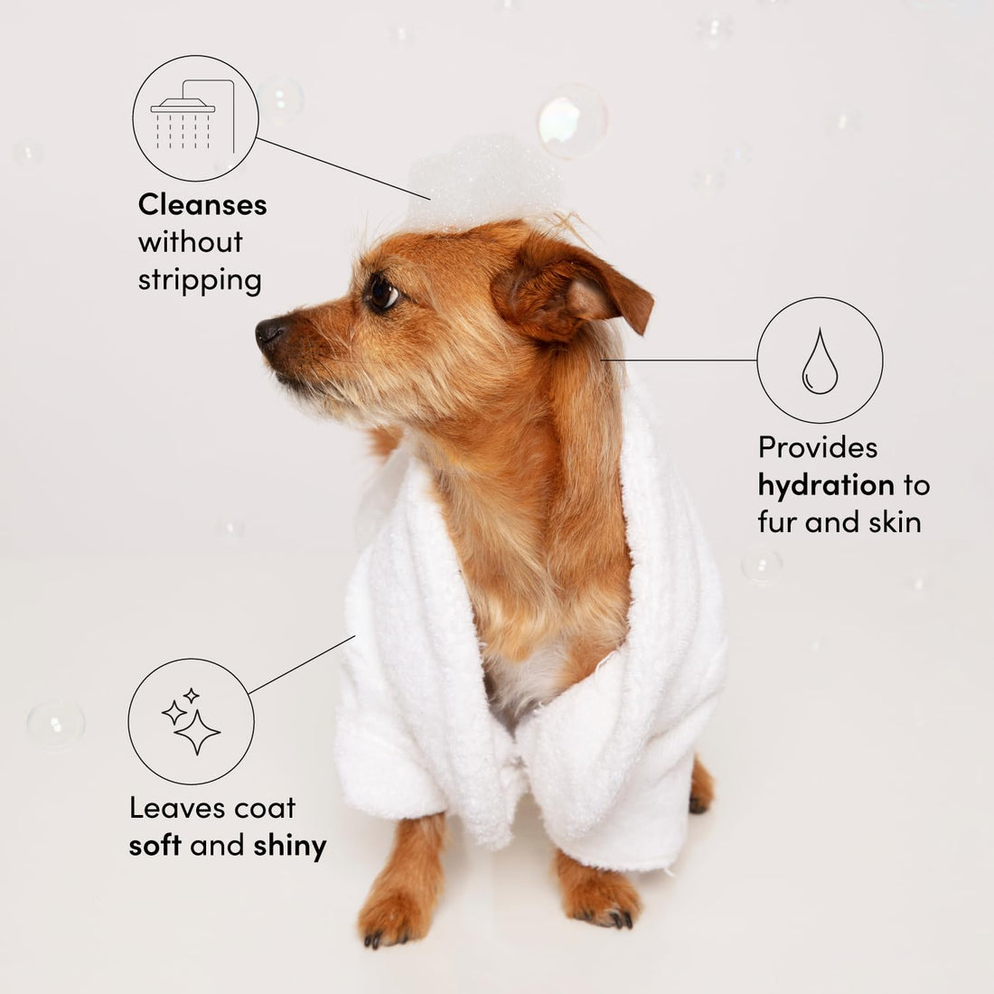 OUAI Fur Bébé Pet Shampoo, Mercer Street Scent - Dog Shampoo and Coat Wash for Hydrating, Cleansing and Adding Shine to Pet Hair - Pet Supplies by OUAI (16 Fl Oz)