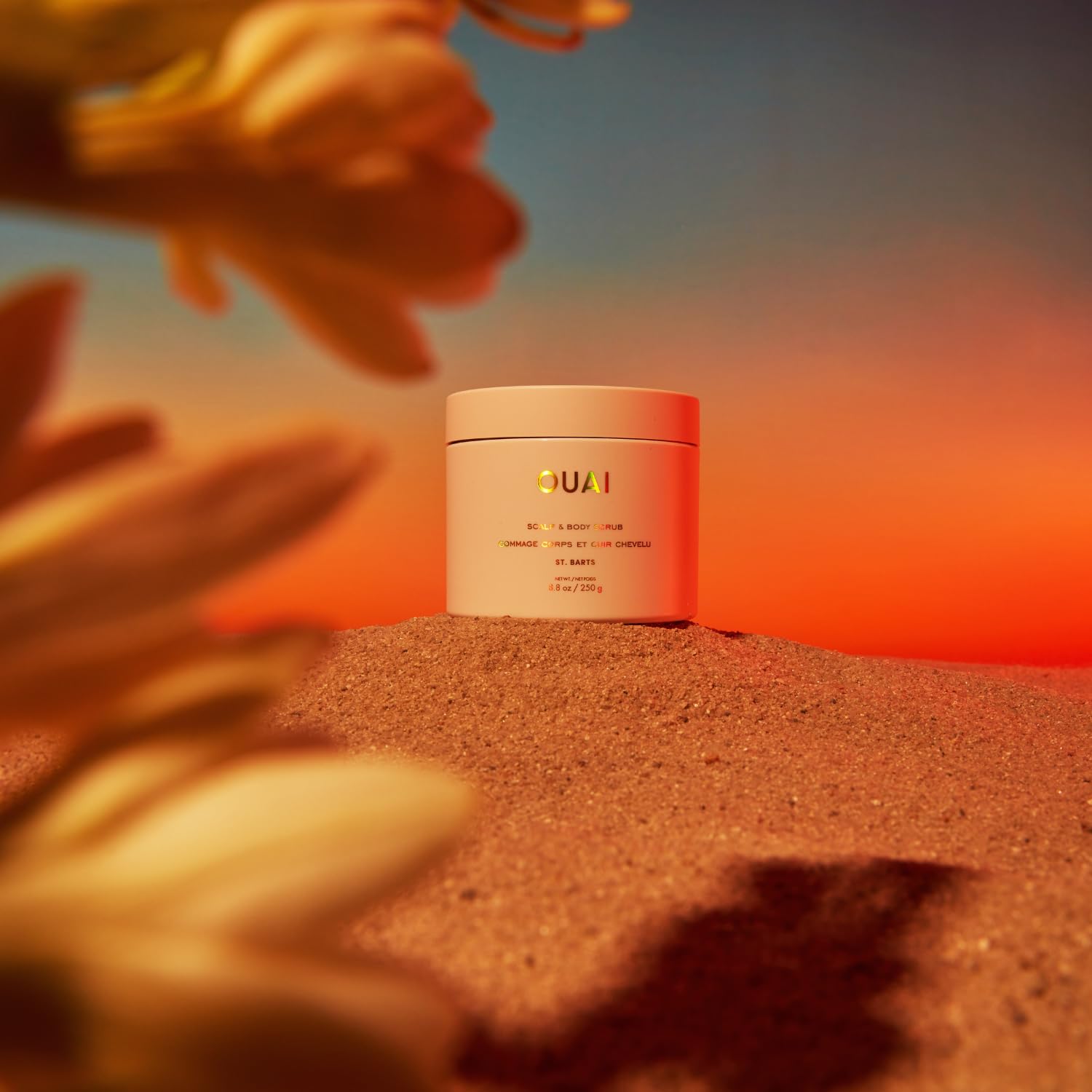 OUAI Scalp &amp; Body Scrub, Melrose Place - Exfoliating Body Scrub with Sugar &amp; Coconut Oil Blend for Smooth, Moisturized Skin - Gentle Scalp Scrub for Removing Product Build Up (8.8 Oz)