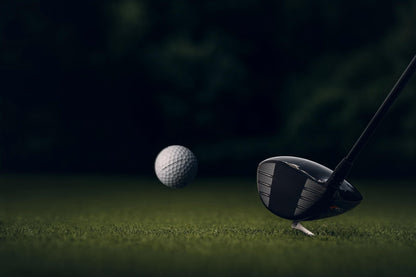 Titleist Pro V1x Golf Balls (One Dozen)