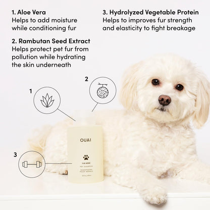 OUAI Fur Bébé Pet Shampoo, Mercer Street Scent - Dog Shampoo and Coat Wash for Hydrating, Cleansing and Adding Shine to Pet Hair - Pet Supplies by OUAI (16 Fl Oz)