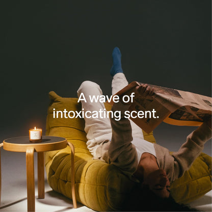 SALT &amp; STONE Scented Candle for Women &amp; Men | Hand-Poured, Aromatic &amp; Fragrant | Natural Coconut &amp; Soy Blend Wax | 100% Cotton Wick | Long-Lasting 50 Hour Burn Time (8.5 oz) (Santal &amp; Vetiver)