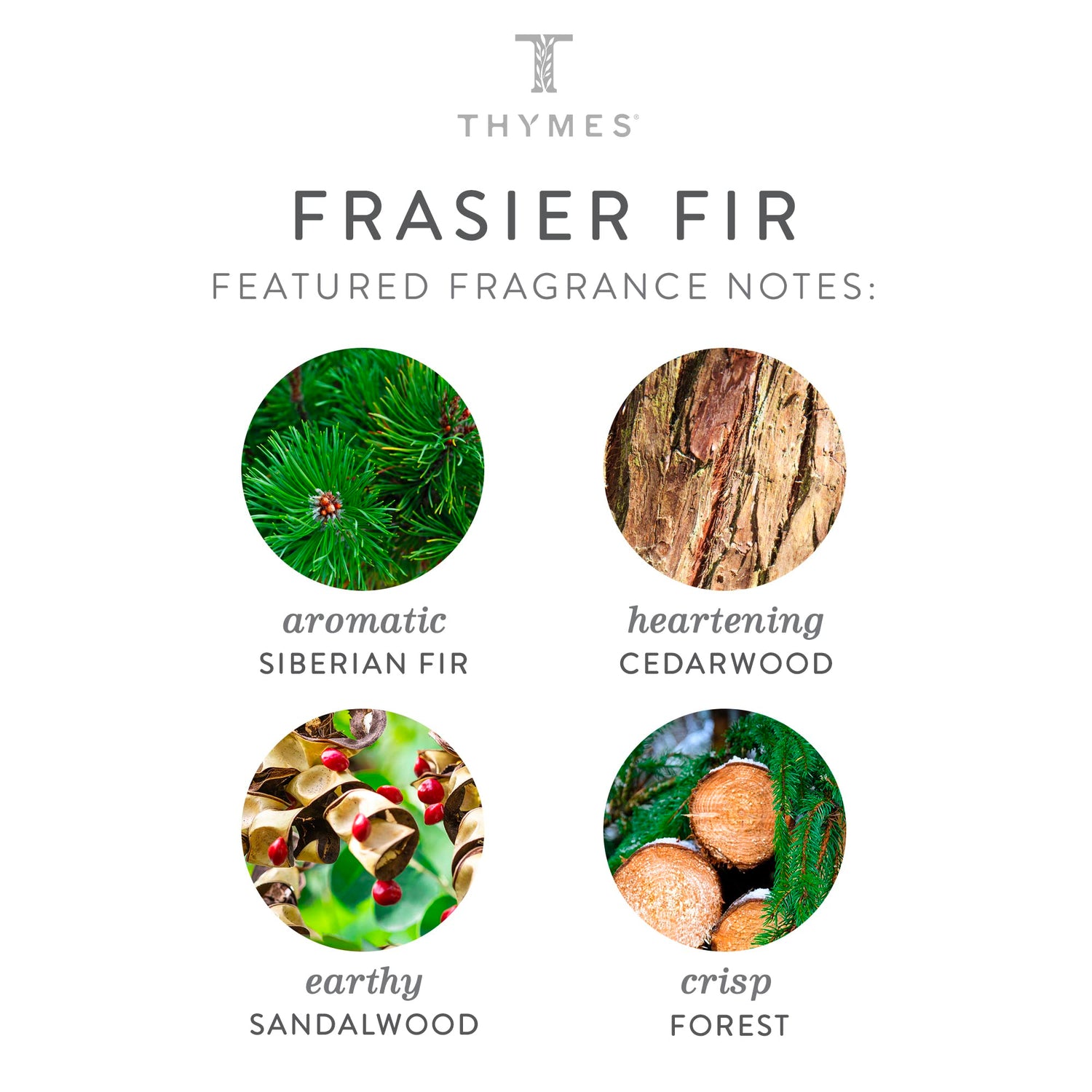 Thymes Frasier Fir Statement 3-Wick Candle - Scented Candle with Crisp Notes of Siberian Fir Needles, Cedarwood, and Relaxing Sandalwood - Luxury Home Fragrance - Silver Candle (12.5 oz)