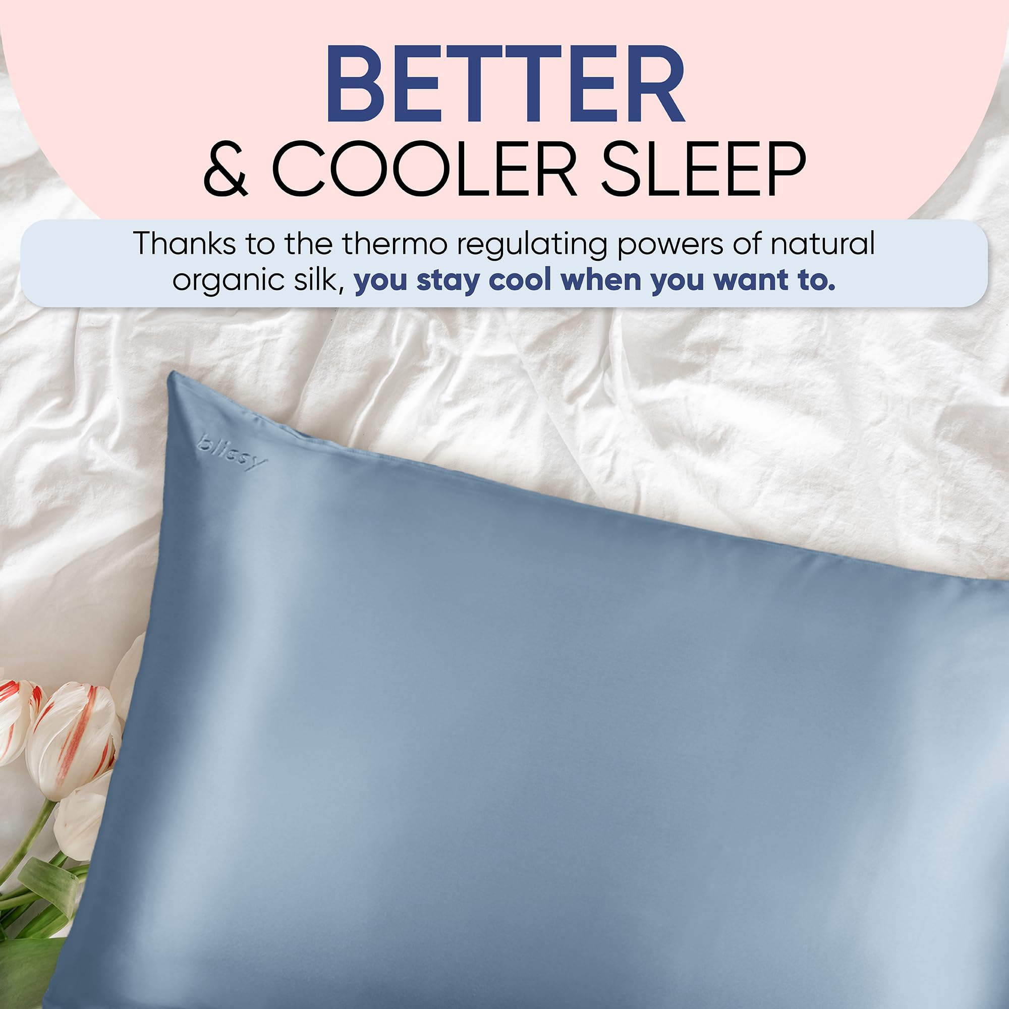 Blissy Silk Pillowcase - 100% Pure Mulberry Silk - 22 Momme 6A High-Grade Fibers - Silk Pillow Cover for Hair &amp; Skin - Regular, Queen &amp; King with Hidden Zipper (Standard,Blissy White)