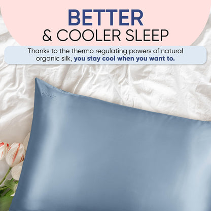 Blissy Silk Pillowcase - 100% Pure Mulberry Silk - 22 Momme 6A High-Grade Fibers - Silk Pillow Cover for Hair &amp; Skin - Regular, Queen &amp; King with Hidden Zipper (Standard,Blissy White)