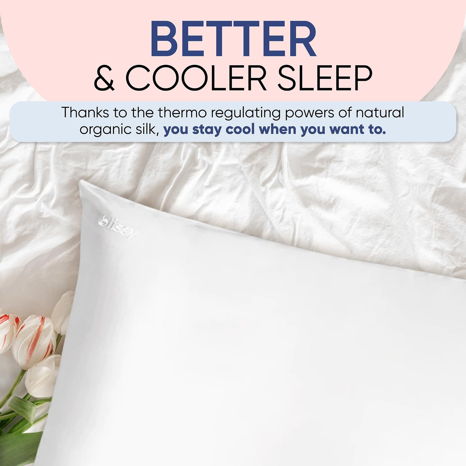 Blissy Silk Pillowcase - 100% Pure Mulberry Silk - 22 Momme 6A High-Grade Fibers - Silk Pillow Cover for Hair &amp; Skin - Regular, Queen &amp; King with Hidden Zipper (Standard,Blissy White)