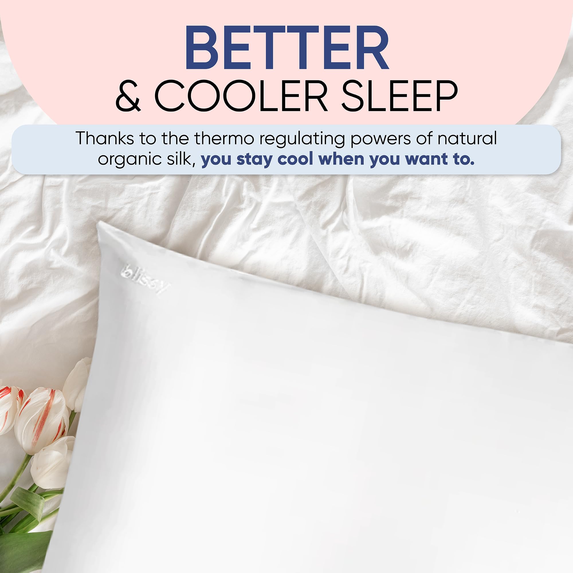 Blissy Silk Pillowcase - 100% Pure Mulberry Silk - 22 Momme 6A High-Grade Fibers - Silk Pillow Cover for Hair &amp; Skin - Regular, Queen &amp; King with Hidden Zipper (Standard,Blissy White)
