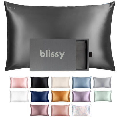 Blissy Silk Pillowcase - 100% Pure Mulberry Silk - 22 Momme 6A High-Grade Fibers - Silk Pillow Cover for Hair &amp; Skin - Regular, Queen &amp; King with Hidden Zipper (Standard,Blissy White)