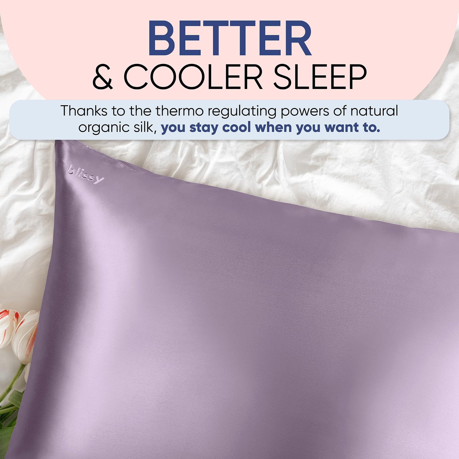 Blissy Silk Pillowcase - 100% Pure Mulberry Silk - 22 Momme 6A High-Grade Fibers - Silk Pillow Cover for Hair &amp; Skin - Regular, Queen &amp; King with Hidden Zipper (Standard,Blissy White)