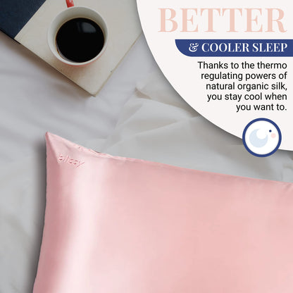 Blissy Silk Pillowcase - 100% Pure Mulberry Silk - 22 Momme 6A High-Grade Fibers - Silk Pillow Cover for Hair &amp; Skin - Regular, Queen &amp; King with Hidden Zipper (Standard,Blissy White)