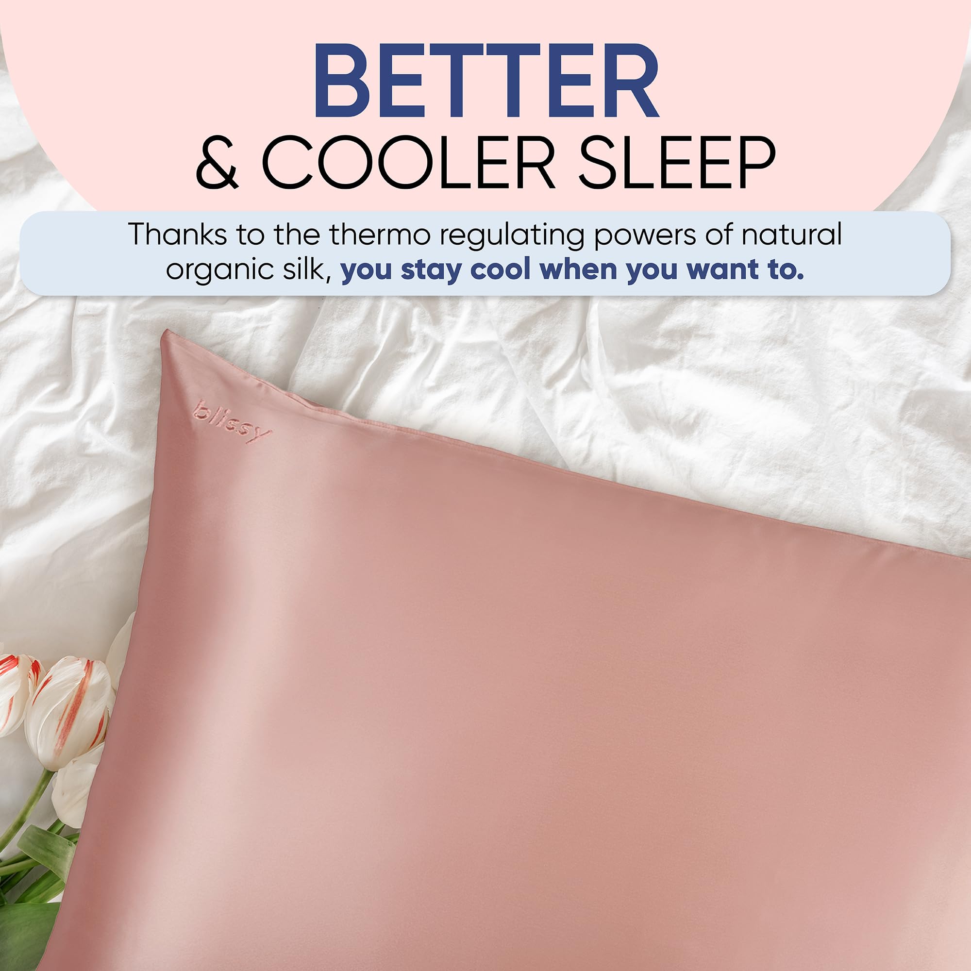 Blissy Silk Pillowcase - 100% Pure Mulberry Silk - 22 Momme 6A High-Grade Fibers - Silk Pillow Cover for Hair &amp; Skin - Regular, Queen &amp; King with Hidden Zipper (Standard,Blissy White)