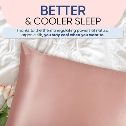Blissy Silk Pillowcase - 100% Pure Mulberry Silk - 22 Momme 6A High-Grade Fibers - Silk Pillow Cover for Hair &amp; Skin - Regular, Queen &amp; King with Hidden Zipper (Standard,Blissy White)