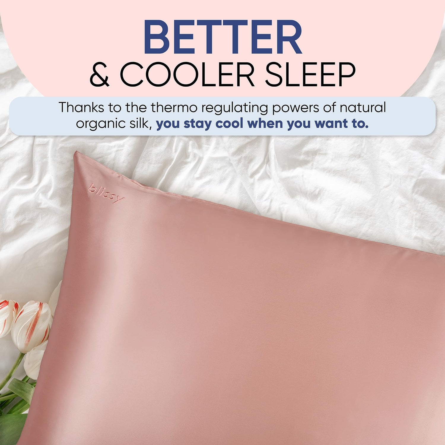 Blissy Silk Pillowcase - 100% Pure Mulberry Silk - 22 Momme 6A High-Grade Fibers - Silk Pillow Cover for Hair &amp; Skin - Regular, Queen &amp; King with Hidden Zipper (Queen, Champagne)