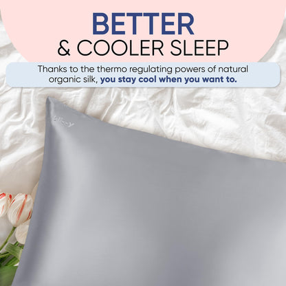 Blissy Silk Pillowcase - 100% Pure Mulberry Silk - 22 Momme 6A High-Grade Fibers - Silk Pillow Cover for Hair &amp; Skin - Regular, Queen &amp; King with Hidden Zipper (Standard,Blissy White)