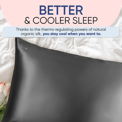 Blissy Silk Pillowcase - 100% Pure Mulberry Silk - 22 Momme 6A High-Grade Fibers - Silk Pillow Cover for Hair &amp; Skin - Regular, Queen &amp; King with Hidden Zipper (Queen, Champagne)