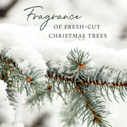 Thymes Frasier Fir Tree and Room Spray - Room Spray with Christmas Tree Scent - Air Fresheners for Home with Frasier Fir Fragrance and Siberian Fir Needles, Flameless Pine Scent - 3.75 Oz