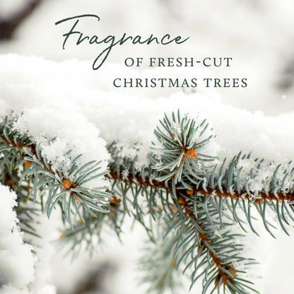 Thymes Frasier Fir Statement 3-Wick Candle - Scented Candle with Crisp Notes of Siberian Fir Needles, Cedarwood, and Relaxing Sandalwood - Luxury Home Fragrance - Silver Candle (12.5 oz)