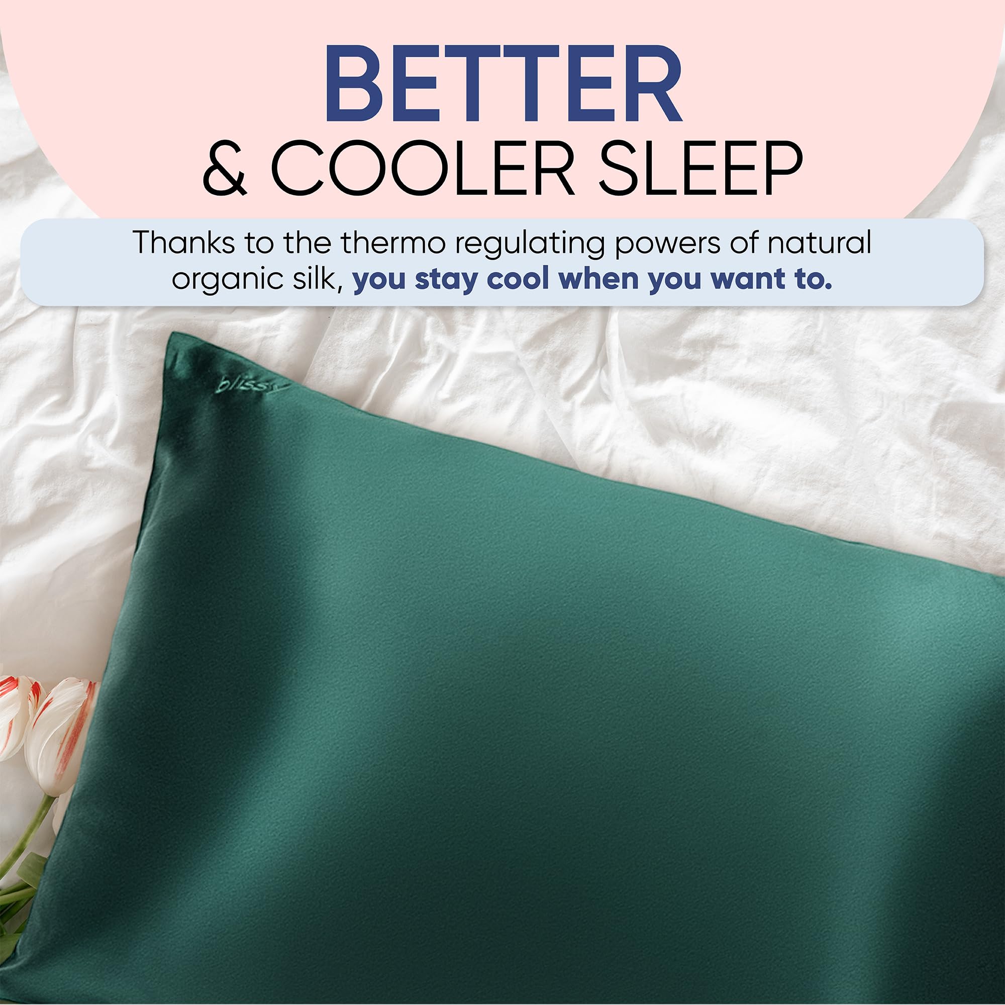 Blissy Silk Pillowcase - 100% Pure Mulberry Silk - 22 Momme 6A High-Grade Fibers - Silk Pillow Cover for Hair &amp; Skin - Regular, Queen &amp; King with Hidden Zipper (Queen, Champagne)