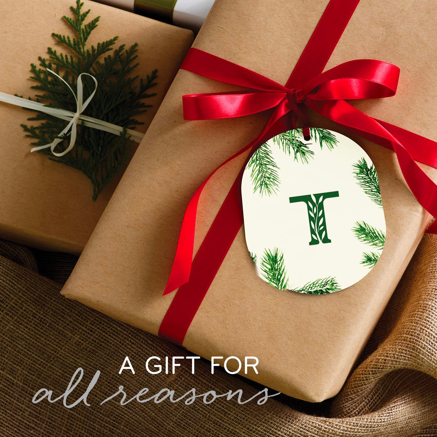 Thymes Frasier Fir Statement 3-Wick Candle - Scented Candle with Crisp Notes of Siberian Fir Needles, Cedarwood, and Relaxing Sandalwood - Luxury Home Fragrance - Silver Candle (12.5 oz)