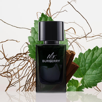 Burberry Mr Burberry Eau de Parfum for Men