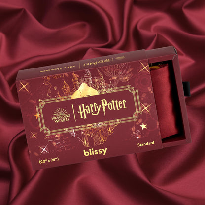 Blissy Silk Pillowcase - 100% Pure Mulberry Silk - 22 Momme 6A High-Grade Fibers - Silk Pillow Cover for Hair &amp; Skin - Regular, Queen &amp; King with Hidden Zipper (Queen, Champagne)