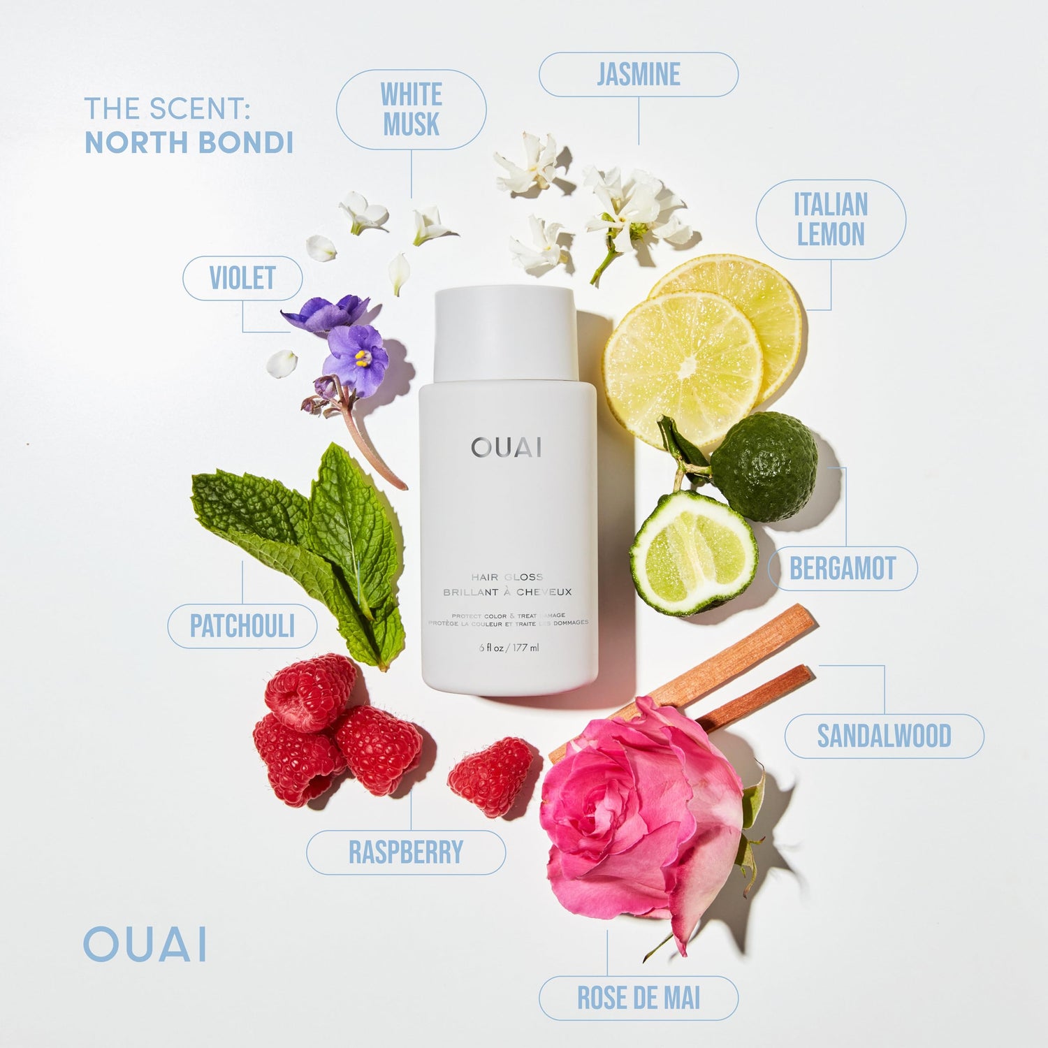 OUAI Hair Gloss - In-Shower Shiny Hair Treatment with Frizz Control - Heat Protectant Hair Glaze Infused with Hyaluronic Acid, Rice Water + Panthenol - Paraben, Phthalate &amp; Sulfate Free (6 Oz)