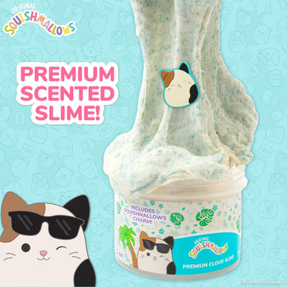 Original Squishmallows Winston The Owl Premium Scented Slime, Blue Raspberry Scented, 8 oz. Slime, 2 Fun Slime Add Ins, Pre-Made Slime for Kids, Great 6 Year Old Toys, Super Soft Squishy Toy