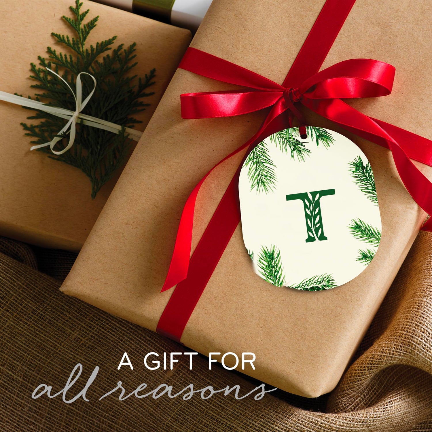 Thymes Frasier Fir Statement 3-Wick Candle - Scented Candle with Crisp Notes of Siberian Fir Needles, Cedarwood, and Relaxing Sandalwood - Luxury Home Fragrance - Silver Candle (12.5 oz)