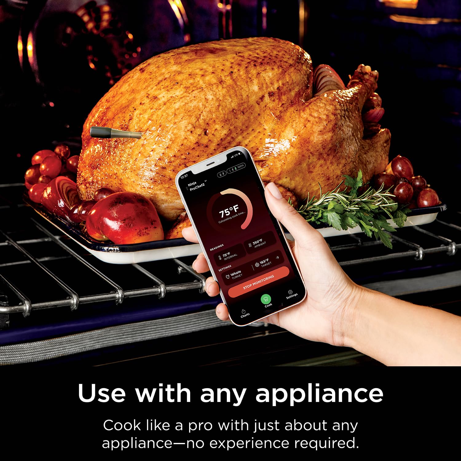 Ninja ProChef Wireless Meat Thermometer Indoor &amp; Outdoor, for Grill, Oven, Smoking, Roasting, air Frying, Long Range app Connection, flareup Resistant, Long Battery Life, Bluetooth, Waterproof, WP100